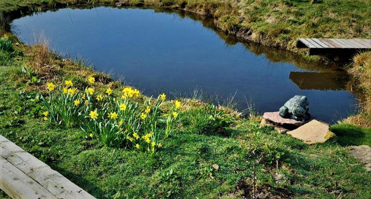 Peak District Cottage Set In 5 Acres Near Buxton بكستون المظهر الخارجي الصورة